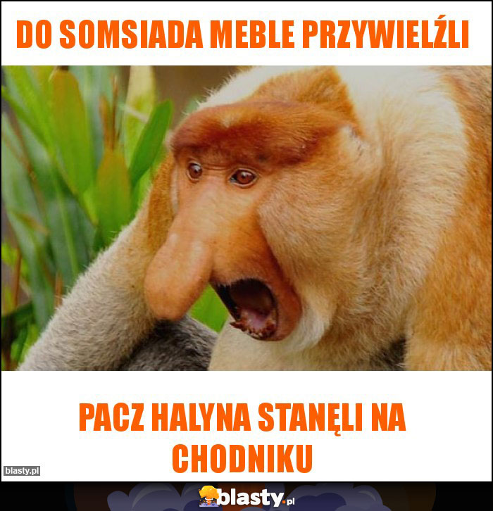 Do somsiada meble przywielźli