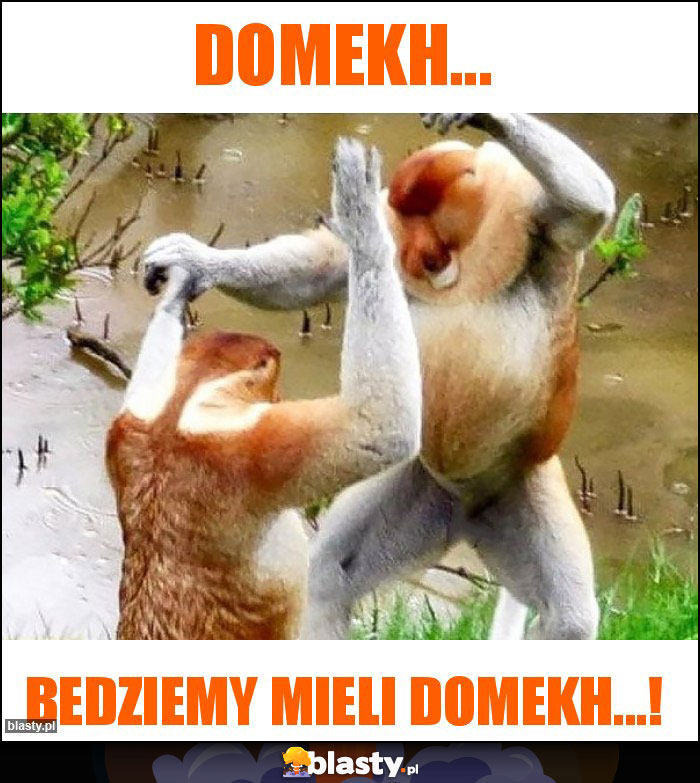 Domekh...