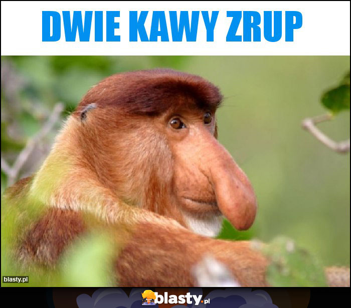 Dwie kawy zrup