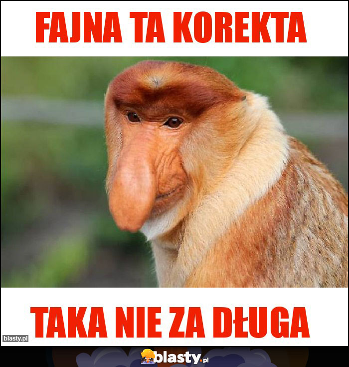 Fajna ta korekta