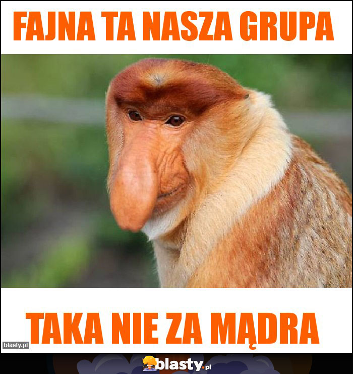 Fajna ta nasza grupa