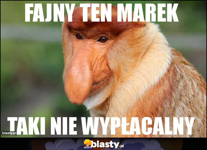 Fajny ten marek