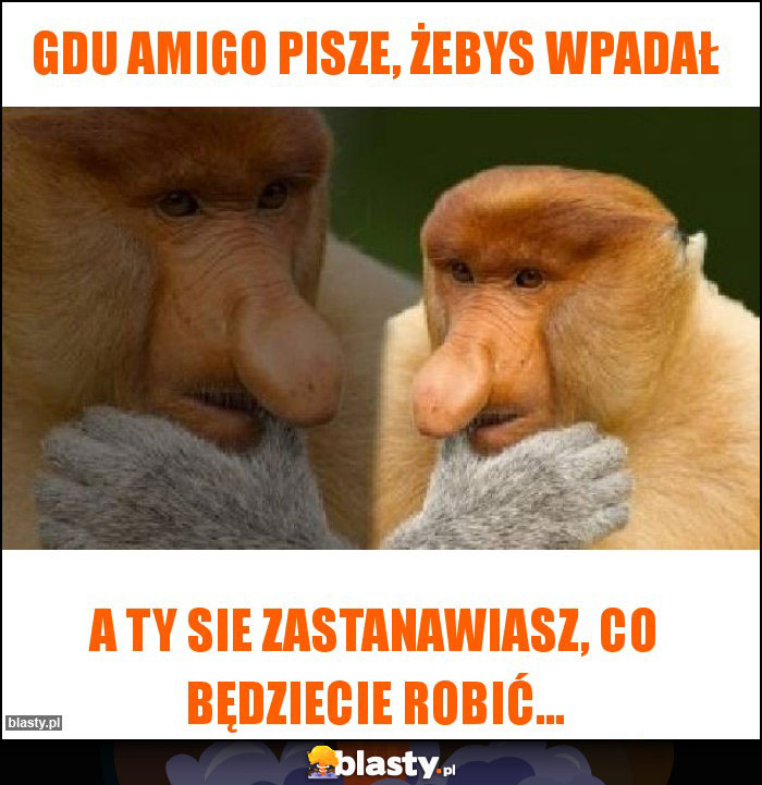 Gdu amigo pisze, żebys wpadał