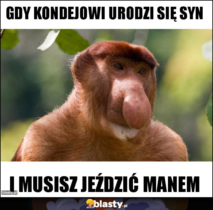 Gdy Kondejowi urodzi się syn