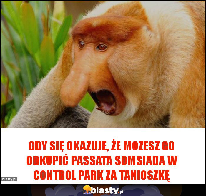 Gdy się okazuje, że mozesz go odkupić Passata somsiada w Control Park za tanioszkę