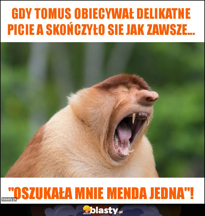 Gdy Tomus obiecywał delikatne picie a skończyło sie jak zawsze...