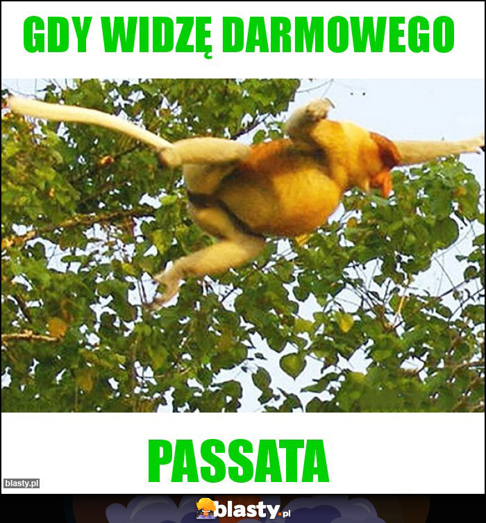 Gdy widzę darmowego