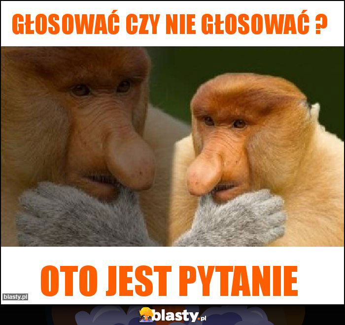 Głosować czy nie głosować ?