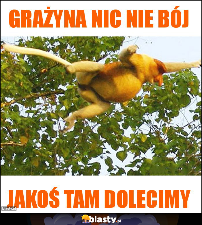 Grażyna nic nie bój