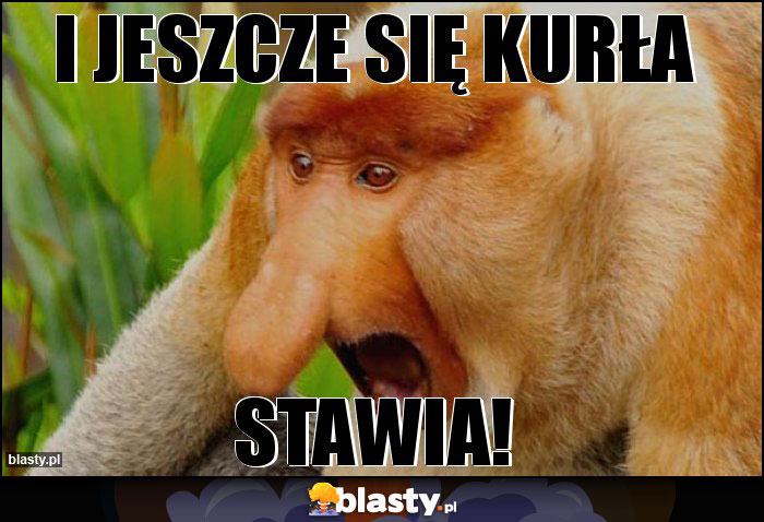 I jeszcze się kurła