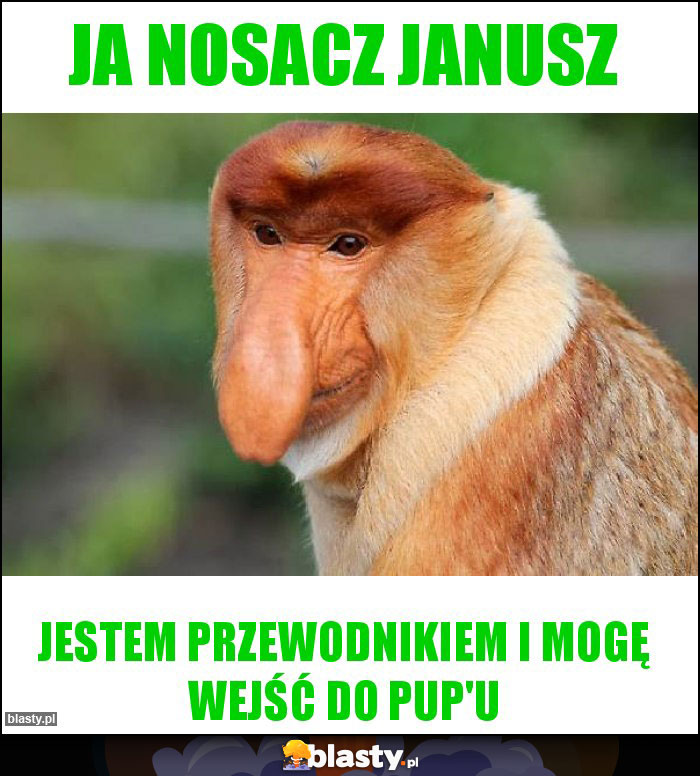 Ja Nosacz Janusz