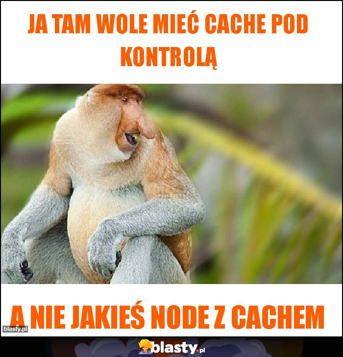 ja tam wole mieć cache pod kontrolą