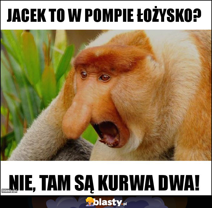 Jacek to w pompie łożysko?