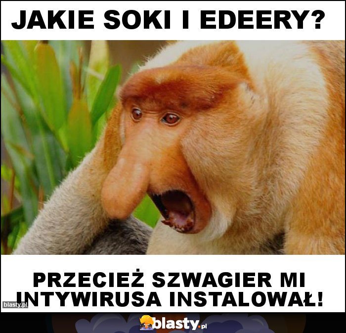 Jakie soki i edeery?