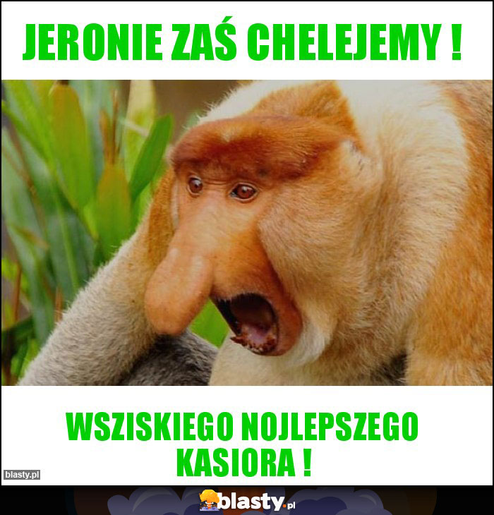 Jeronie zaś chelejemy !