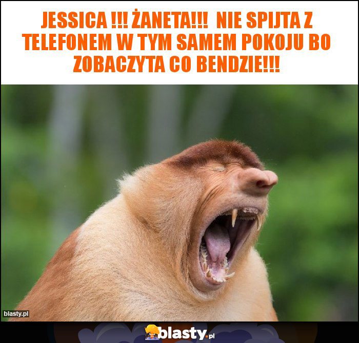 Jessica !!! Żaneta!!!  Nie spijta z telefonem w tym samem pokoju bo zobaczyta co bendzie!!!