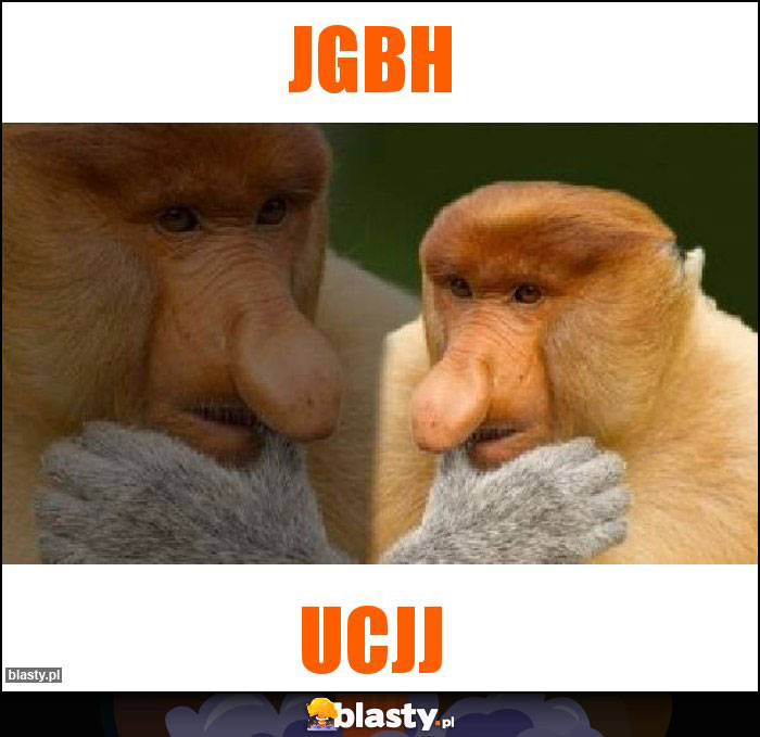 Jgbh