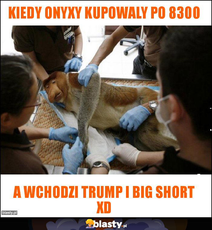 Kiedy onyxy kupowaly po 8300