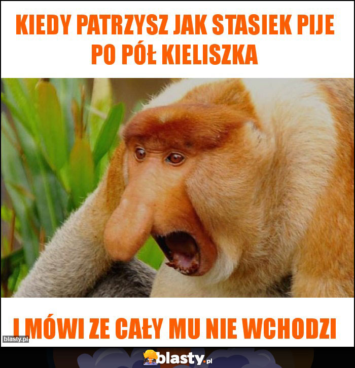 Kiedy patrzysz jak Stasiek pije po pół kieliszka