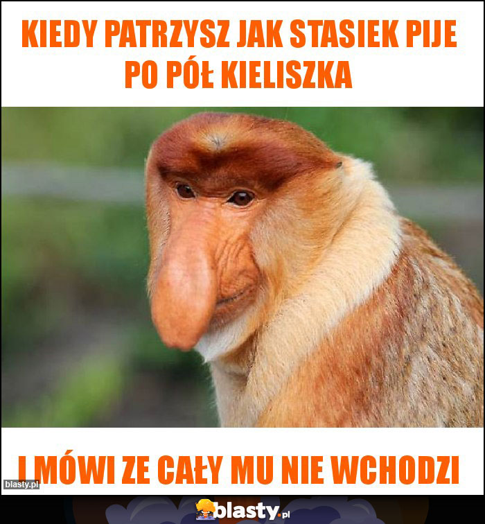 Kiedy patrzysz jak Stasiek pije po pół kieliszka