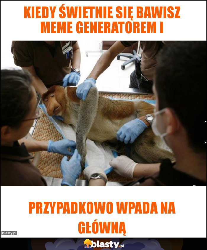 Kiedy świetnie się bawisz meme generatorem i