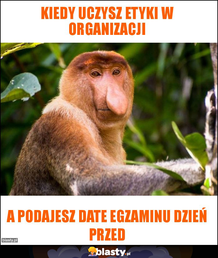 KIEDY UCZYSZ ETYKI W ORGANIZACJI