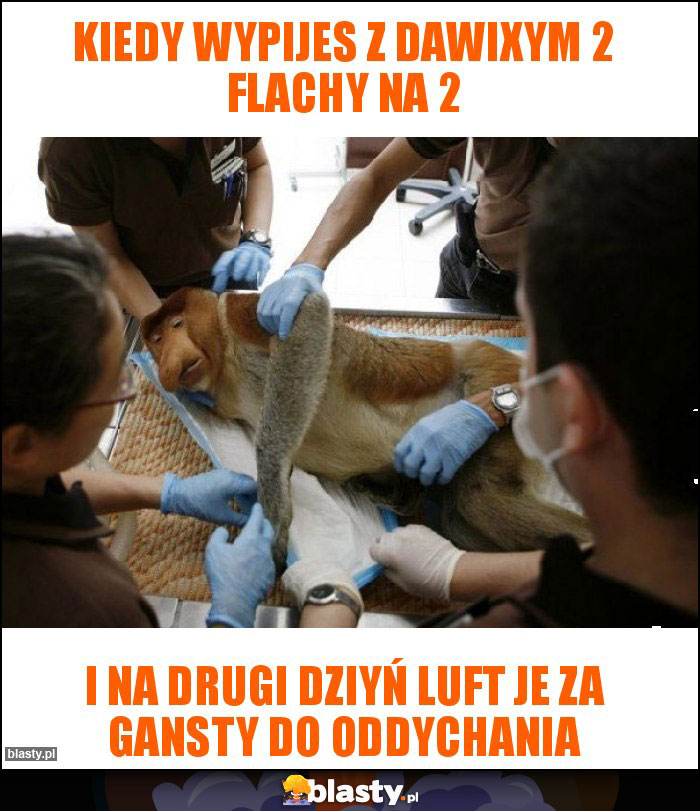 Kiedy wypijes z dawixym 2 flachy na 2