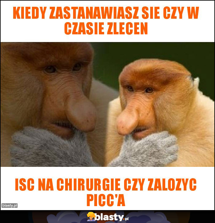 Kiedy zastanawiasz sie czy w czasie zlecen