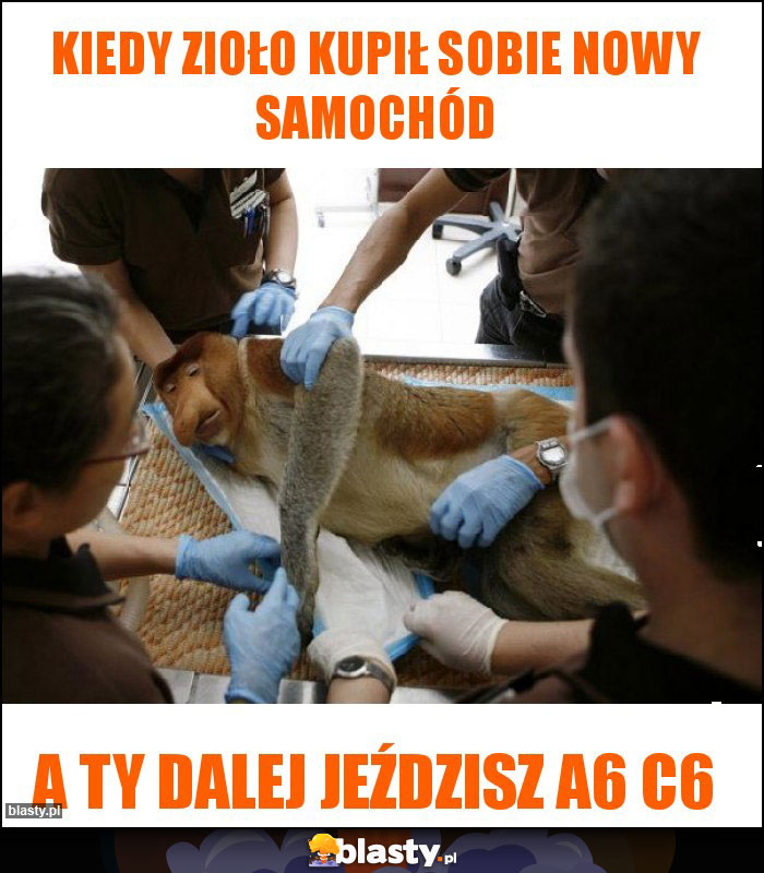 Kiedy zioło kupił sobie nowy samochód