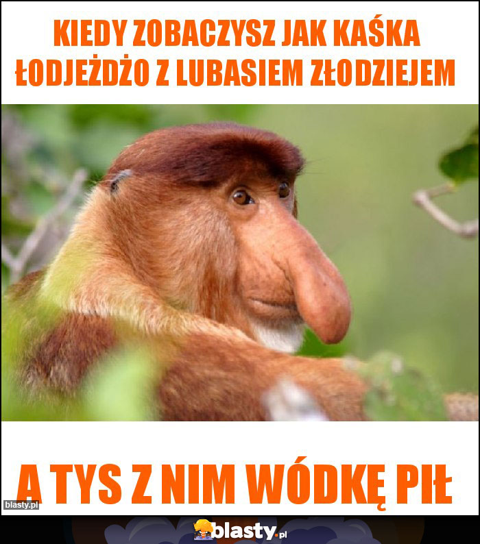 Kiedy zobaczysz jak Kaśka łodjeżdżo z lubasiem złodziejem