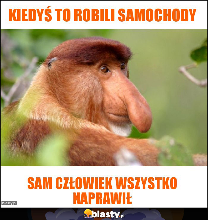 Kiedyś to robili samochody