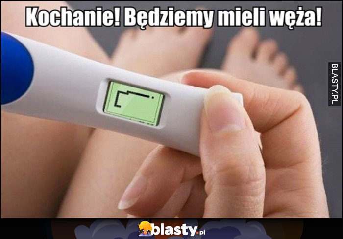 Kochanie będziemy mieli węża, żona test ciążowy gra snake