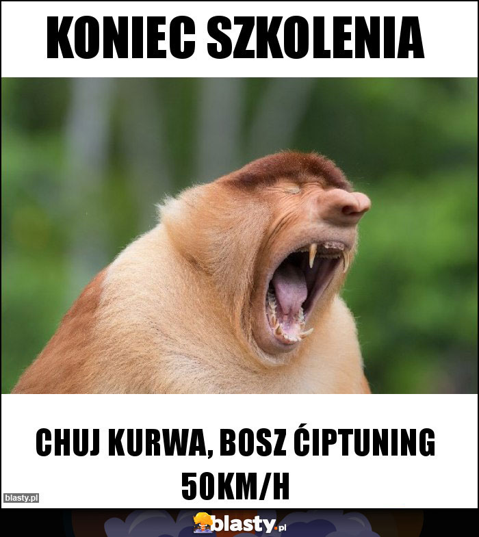 KONIEC SZKOLENIA