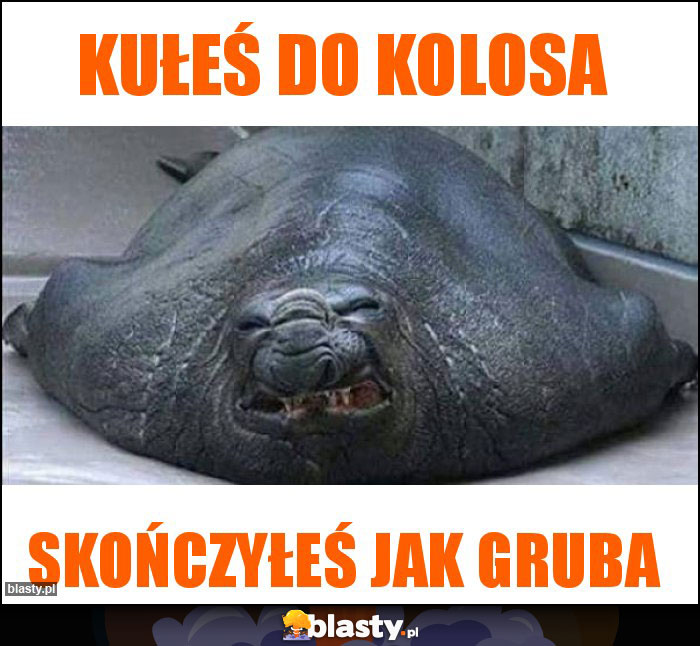 Kułeś do kolosa