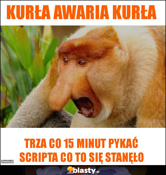 KURŁA AWARIA KURŁA