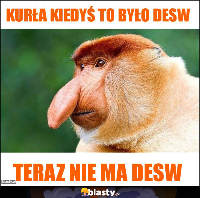 Kurła kiedyś to było desw