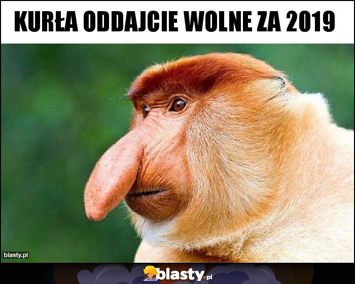 Kurła oddajcie wolne za 2019