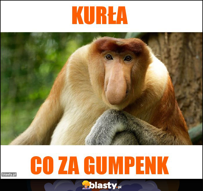 Kurła