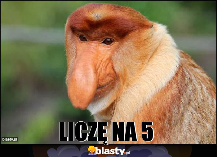 LICZĘ NA 5