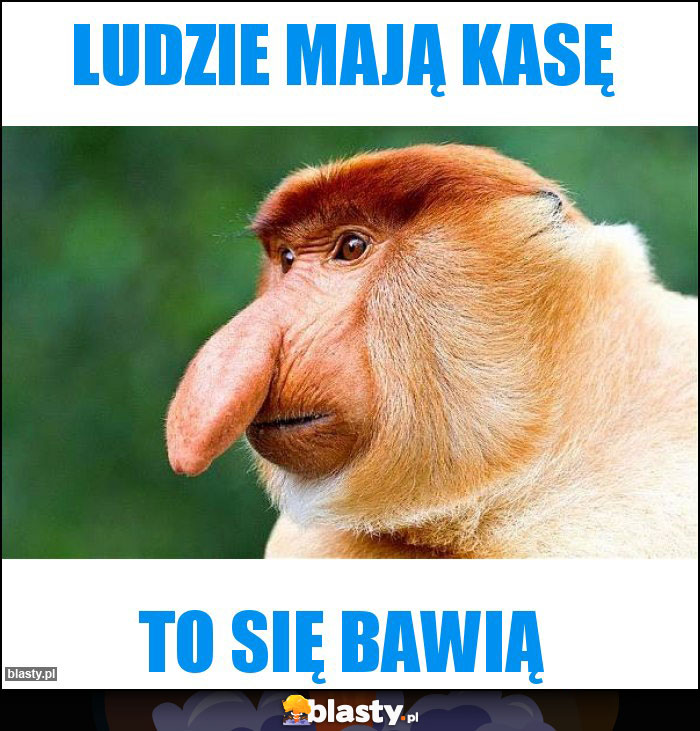 Ludzie mają kasę