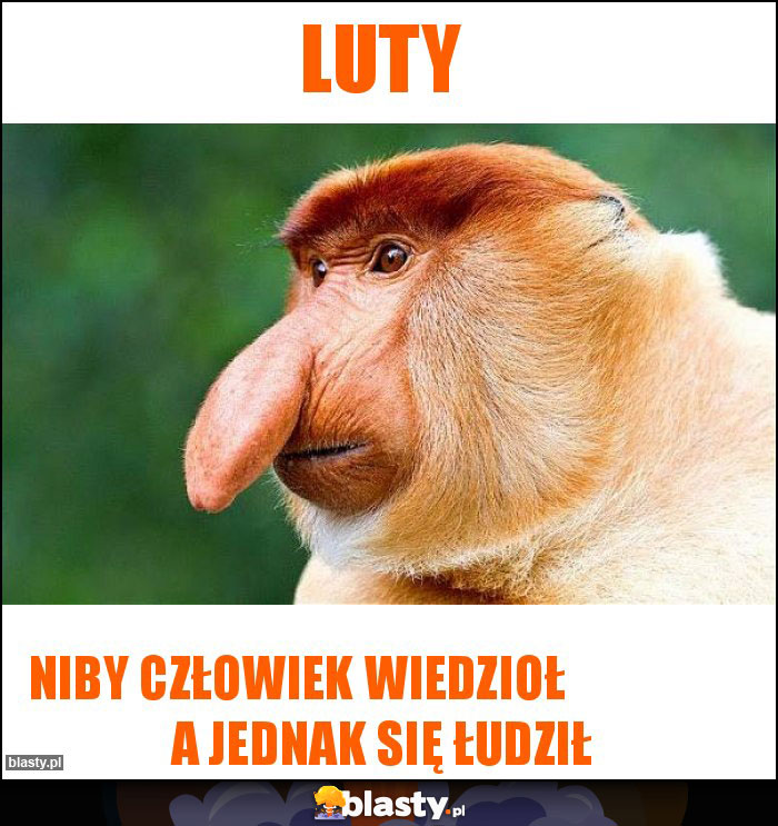 LUTY