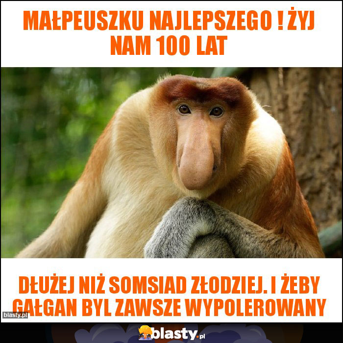 Małpeuszku najlepszego ! Żyj nam 100 lat