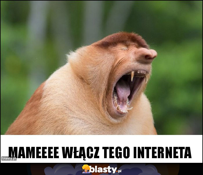 Mameeee włącz tego interneta