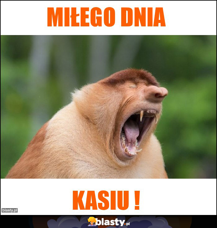 Miłego dnia