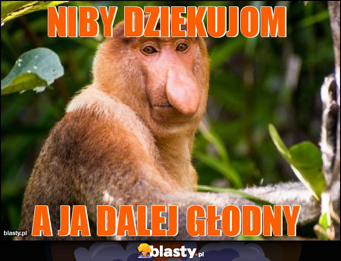 Niby dziekujom