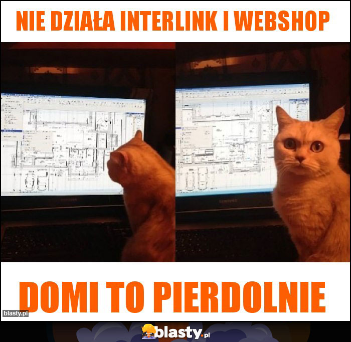 Nie działa interlink i webshop