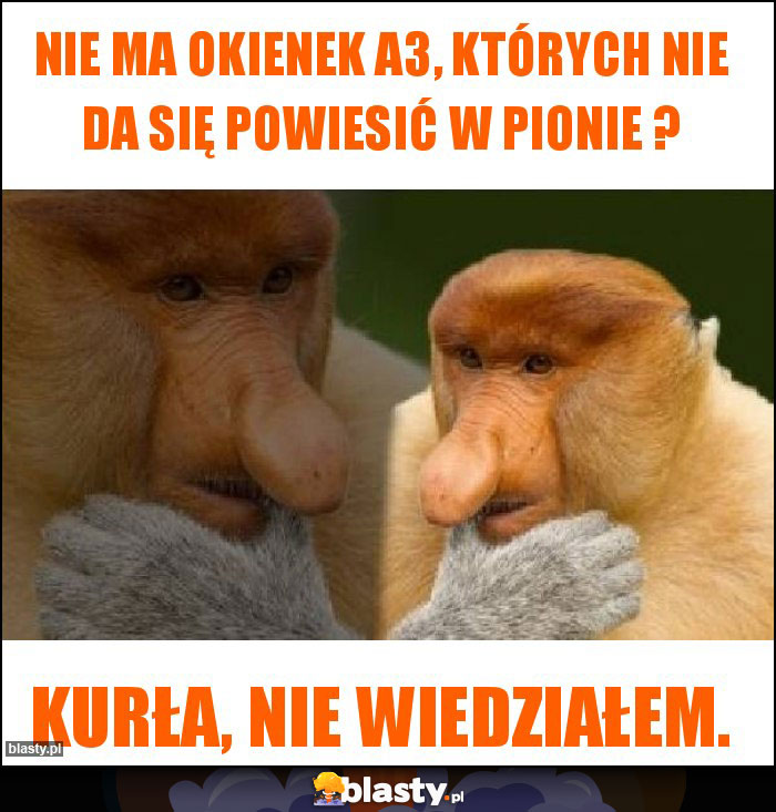 Nie ma okienek A3, których nie da się powiesić w pionie ?