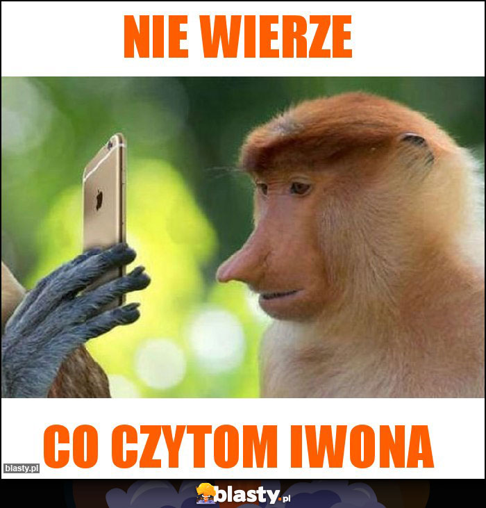 Nie wierze