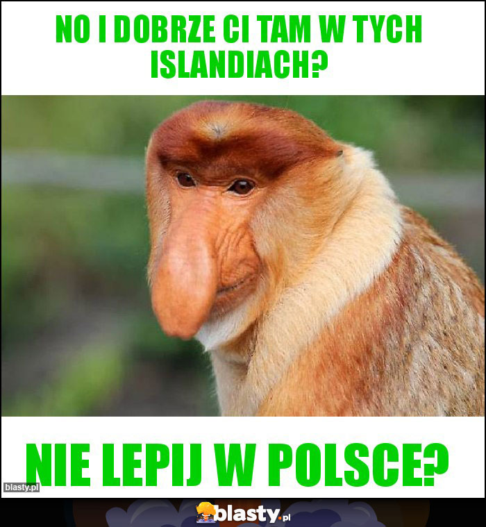 No i dobrze Ci tam w tych islandiach?