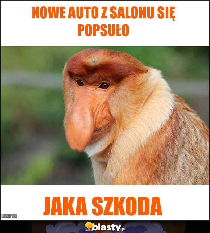 Nowe auto z salonu się popsuło